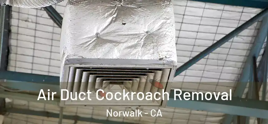  Air Duct Cockroach Removal Norwalk - CA