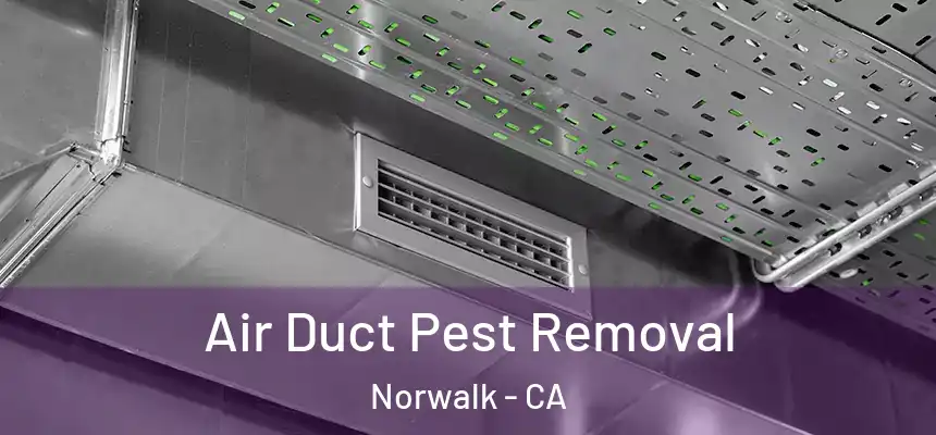  Air Duct Pest Removal Norwalk - CA