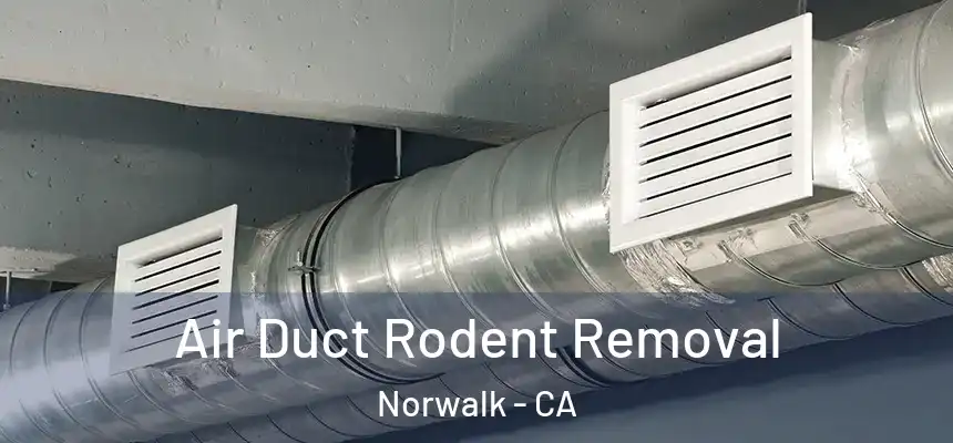  Air Duct Rodent Removal Norwalk - CA