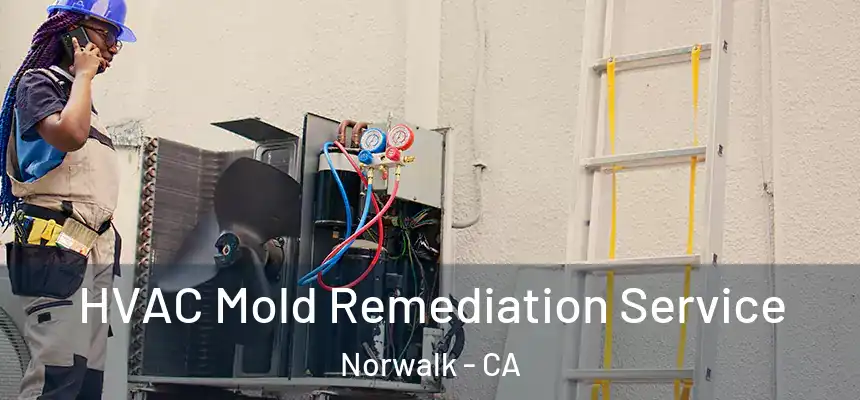  HVAC Mold Remediation Service Norwalk - CA