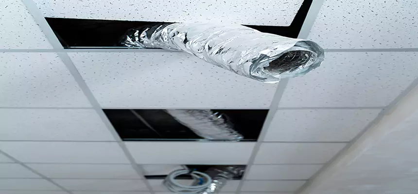 Affordable HVAC Sanitizing After Pest Removal in Norwalk