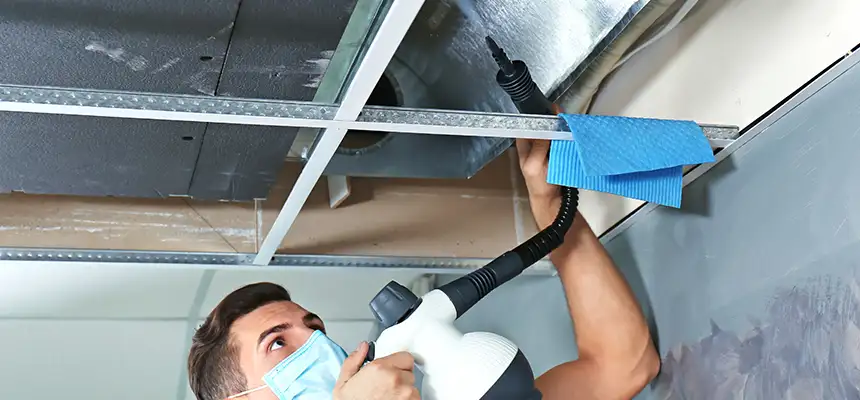 Our Air Duct Rodent Removal Services in Norwalk, CA