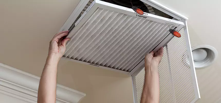 Our Insect Removal from Air Ducts Services in Norwalk, CA