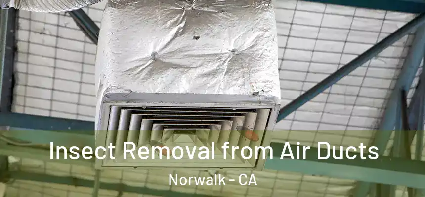  Insect Removal from Air Ducts Norwalk - CA