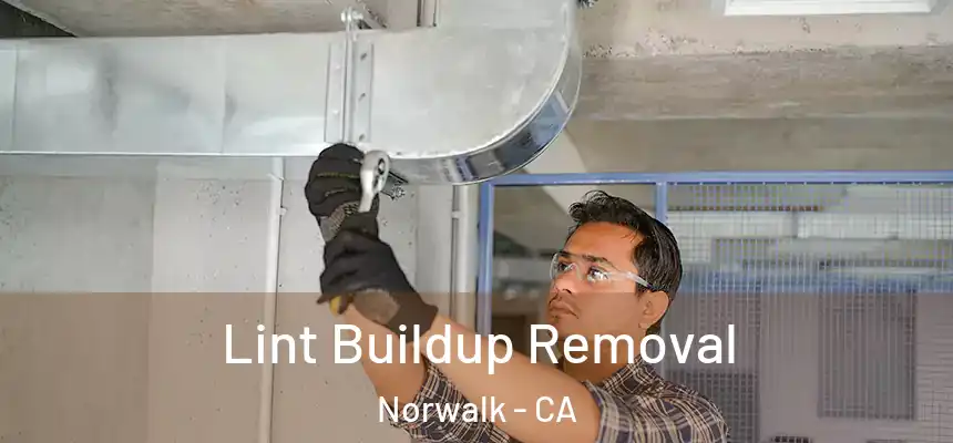  Lint Buildup Removal Norwalk - CA