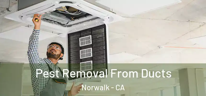 Pest Removal From Ducts Norwalk - CA