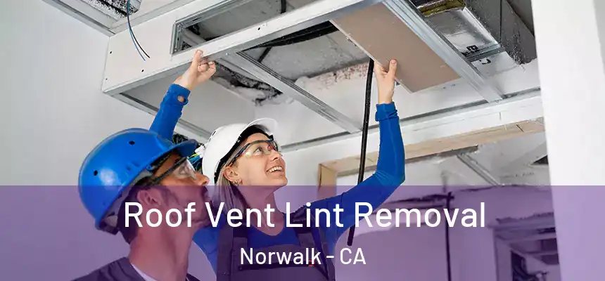  Roof Vent Lint Removal Norwalk - CA