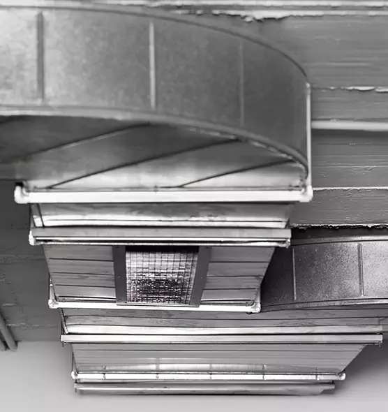 Professional Air Duct Pest Removal in Norwalk, CA