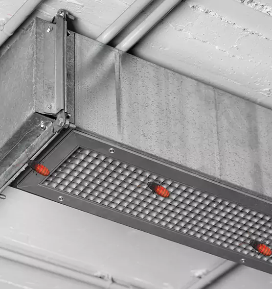 Affordable Insect Removal from Air Ducts in Norwalk, CA